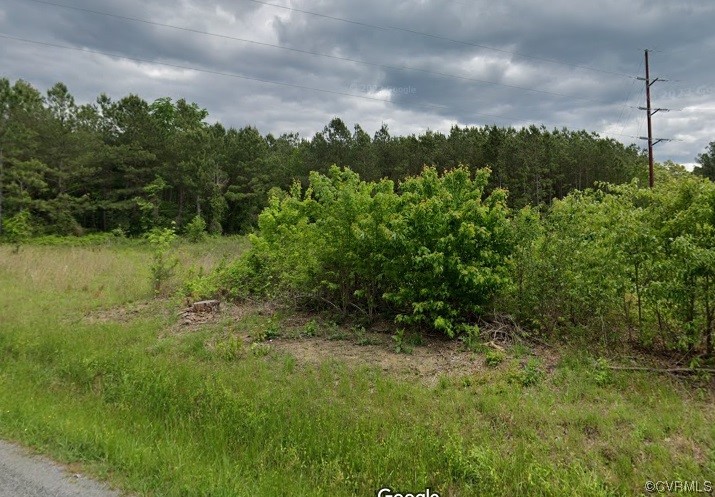 0 Grandy Road Brodnax, VA 23920 - Photo 5 of 9