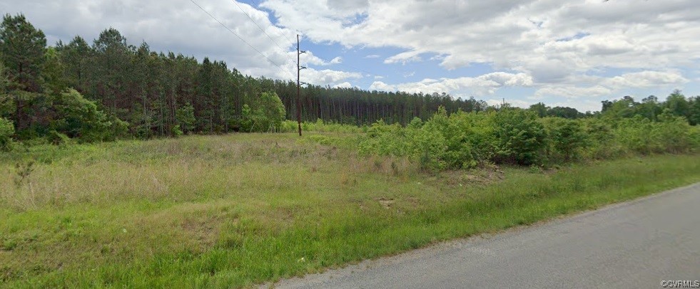 0 Grandy Road Brodnax, VA 23920 - Photo 6 of 9