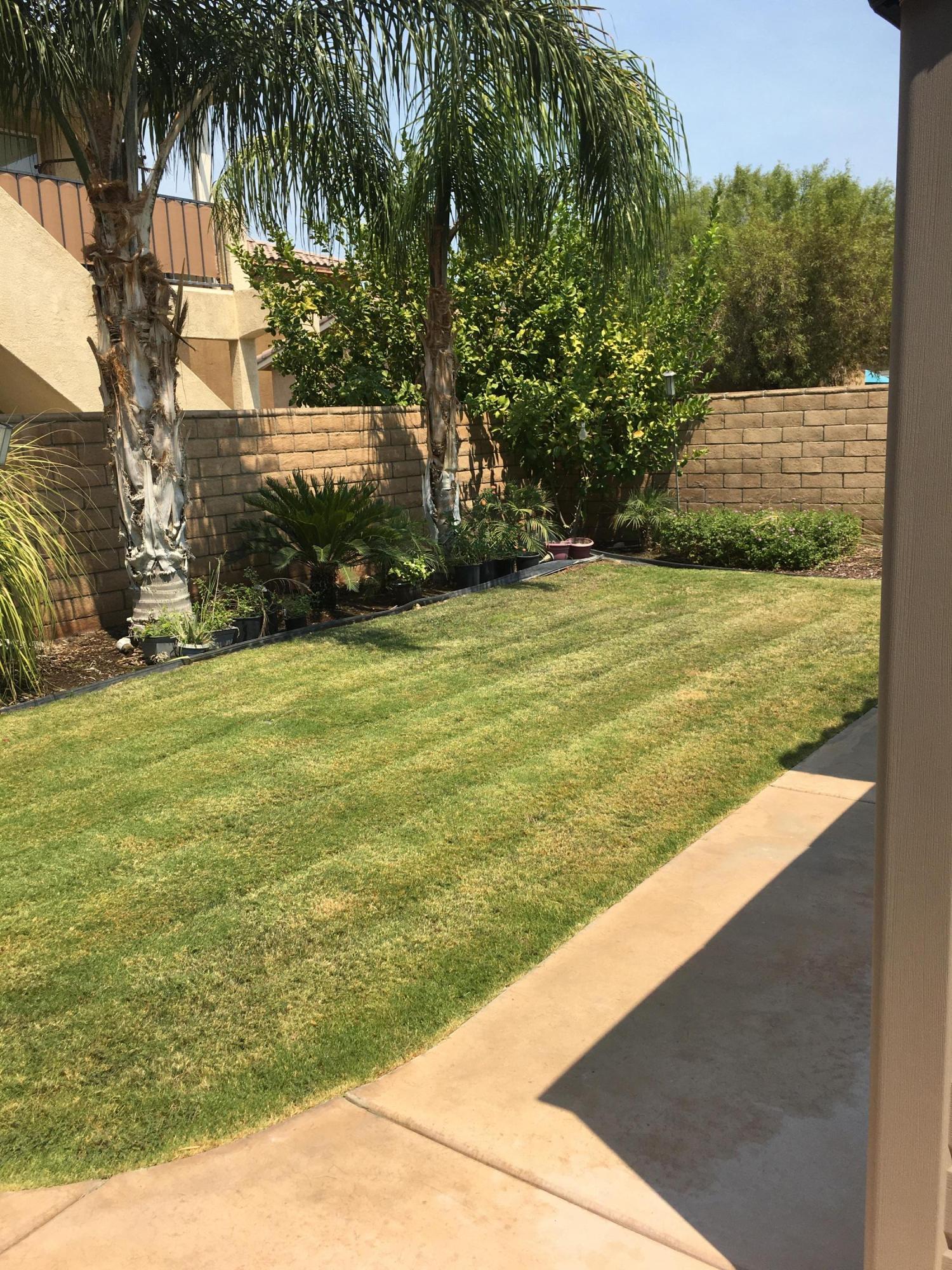 67874 Rio Largo Road Cathedral City, CA 92234 - Photo 3 of 20 a view of a yard with an outdoor space