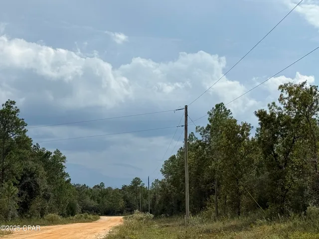 $14,900 | 0 Beaverhead Street, Alford, FL 32420