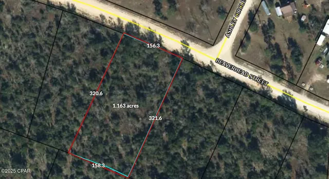 $14,900 | 0 Beaverhead Street, Alford, FL 32420