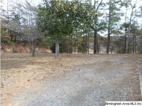 3830 Highway 29 Oneonta Al Oneonta, AL 35121 - Photo 11 of 21