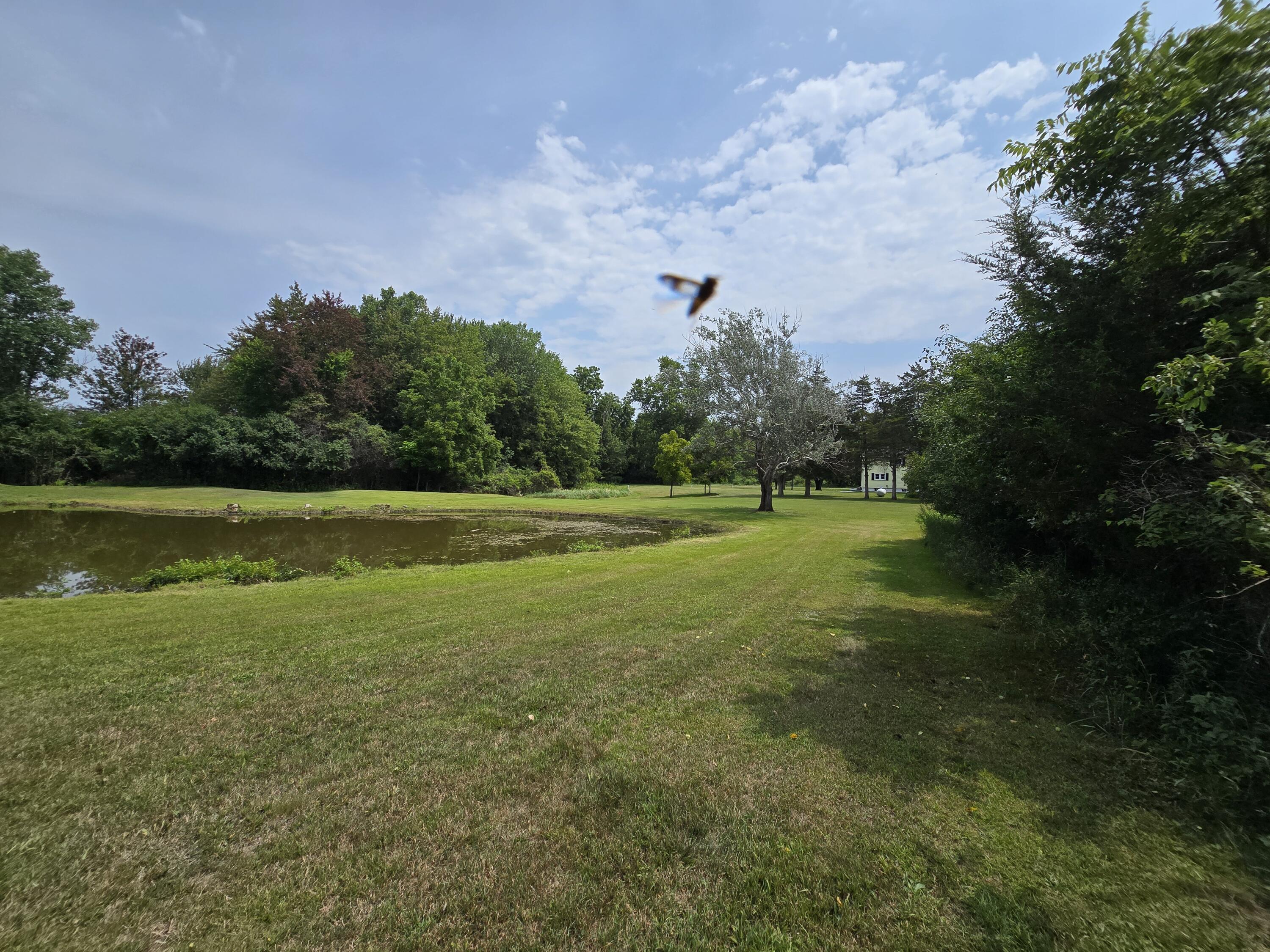 4250 Rives Junction Road Jackson, MI 49201 - Photo 121 of 125 20260727_125329