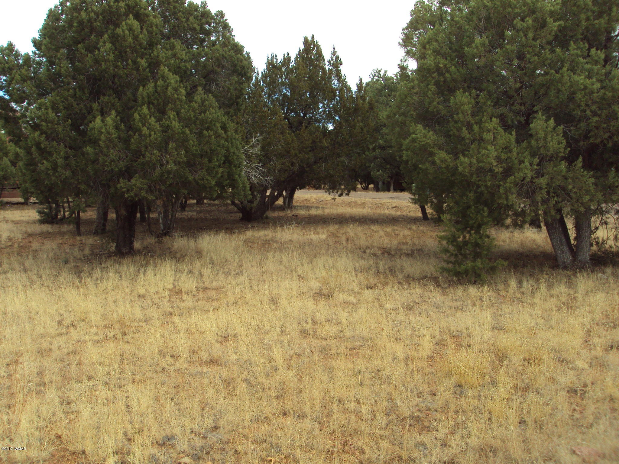 2748 Kitty Hawk Lane Overgaard, AZ 85933 - Photo 2 of 5 Gallery Image 2
