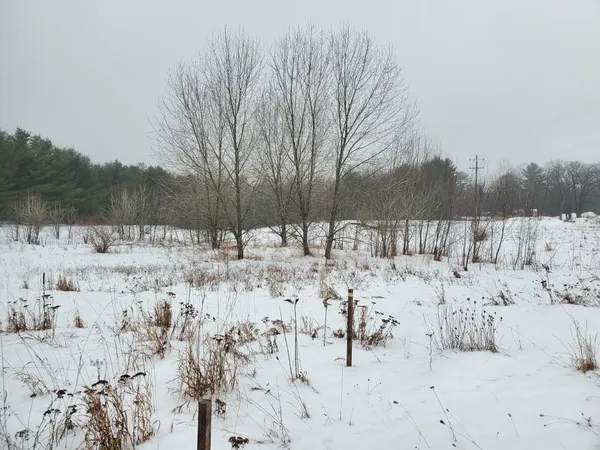 $34,000 | 2788 East Greenwood Road, Prescott, MI 48756