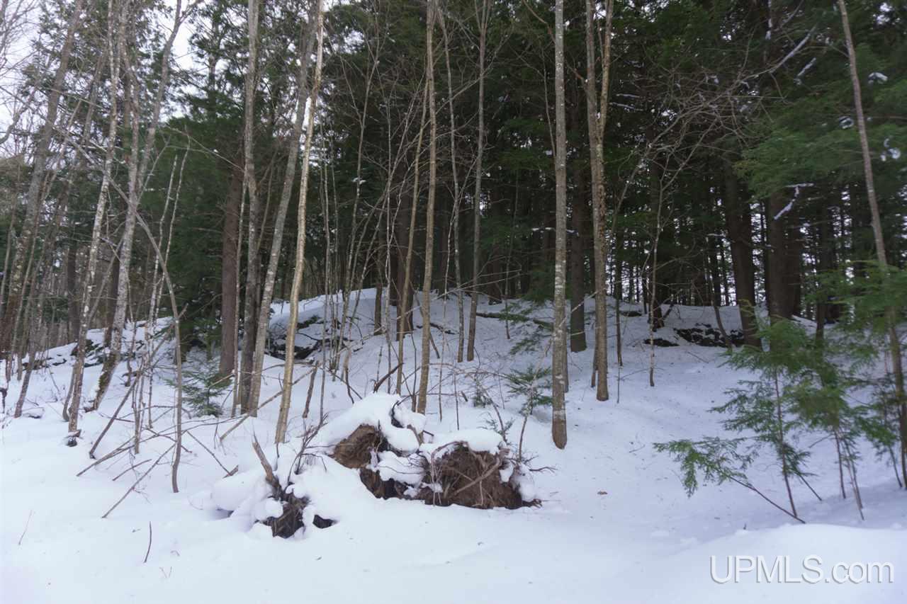 N2025 Co Road Marquette, MI 49855 - Photo 40 of 48