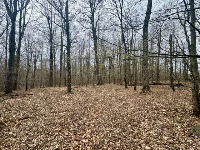 Lot 4 Shaver Hill Road Meridale, NY 13806 - Photo 17 of 44