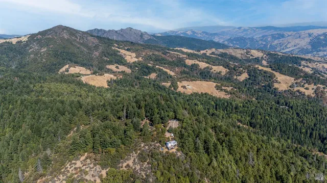 a view of a city with lush green forest