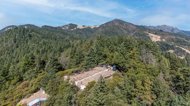 a view of a lush green field with mountains in the background