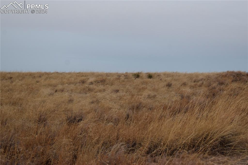 31390 Ken View Yoder, CO 80864 - Photo 8 of 8 a view of yard