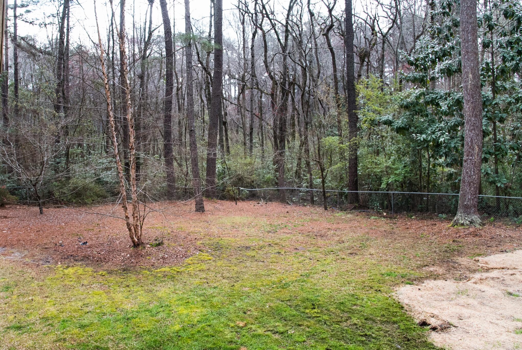 192 Boiling Spring Circle Southern Pines, NC 28387 - Photo 34 of 37 192SoPi1481