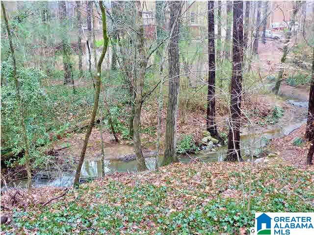 2331 Spring Iris Drive Birmingham, AL 35244 - Photo 28 of 28