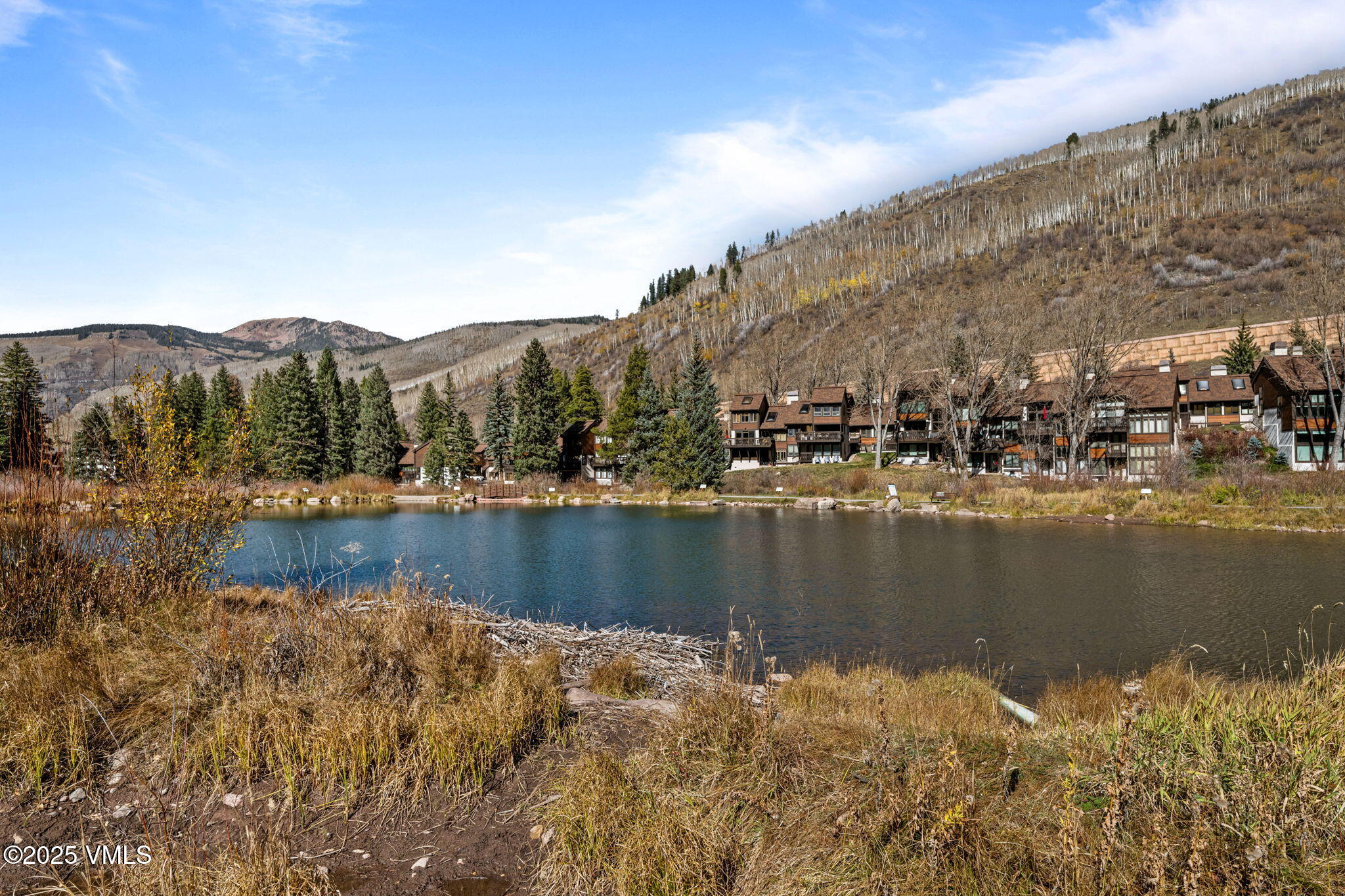 4580 Vail Racquet Club Drive, Unit 11 Vail, CO 81657 - Photo 41 of 41 79-web-or-mls-GAM_9748