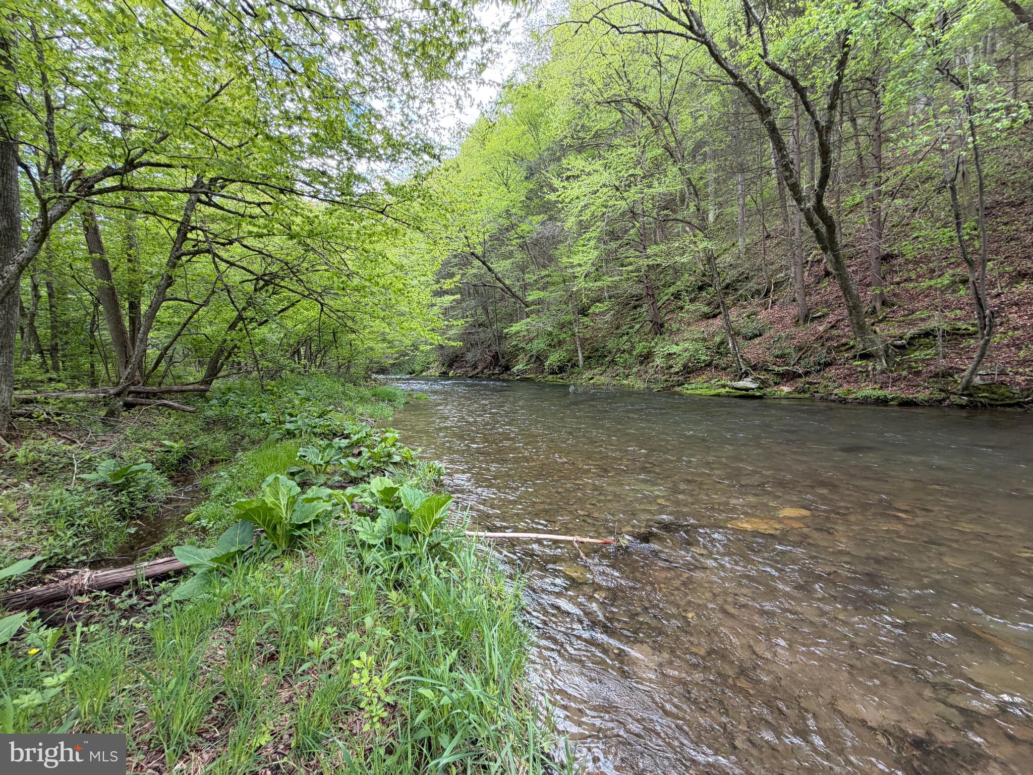 1227 Cross Fork Creek Road Cross Fork, PA 17729 - Photo 72 of 139