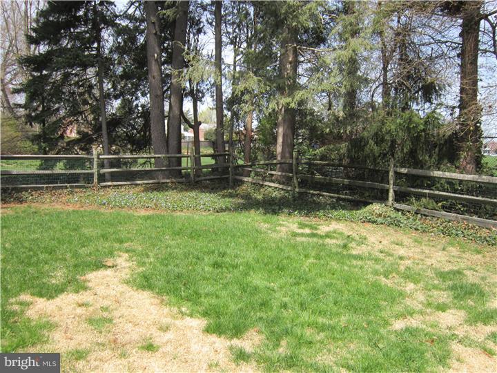 53 Snyder Lane Springfield, PA 19064 - Photo 25 of 25 Back Yard