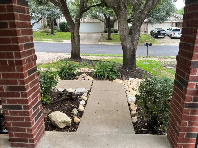 a view of backyard with tree