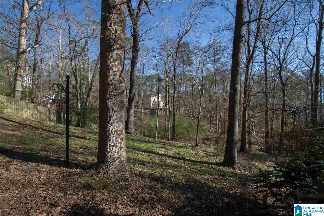 422 Stonebridge Road Birmingham, AL 35210 - Photo 36 of 44
