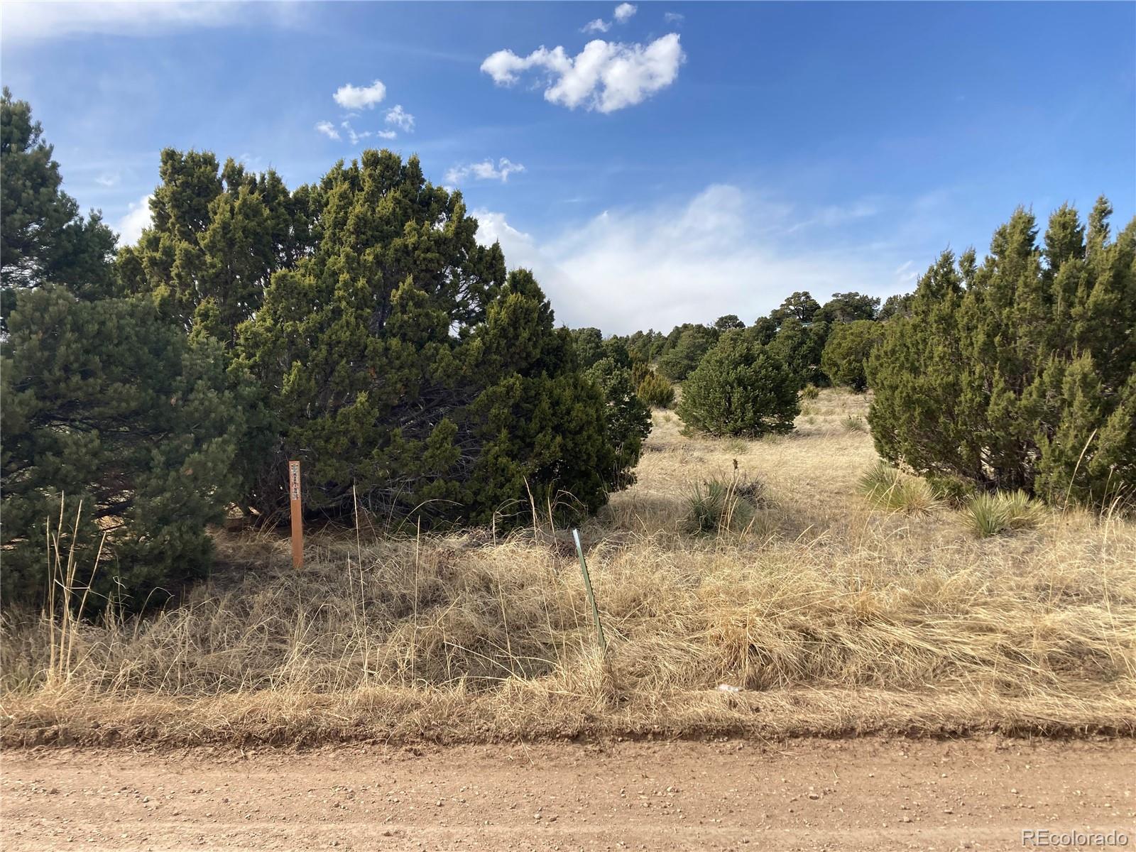 Navajo Ranch, Unit 3 Walsenburg, CO 81089 - Photo 4 of 7