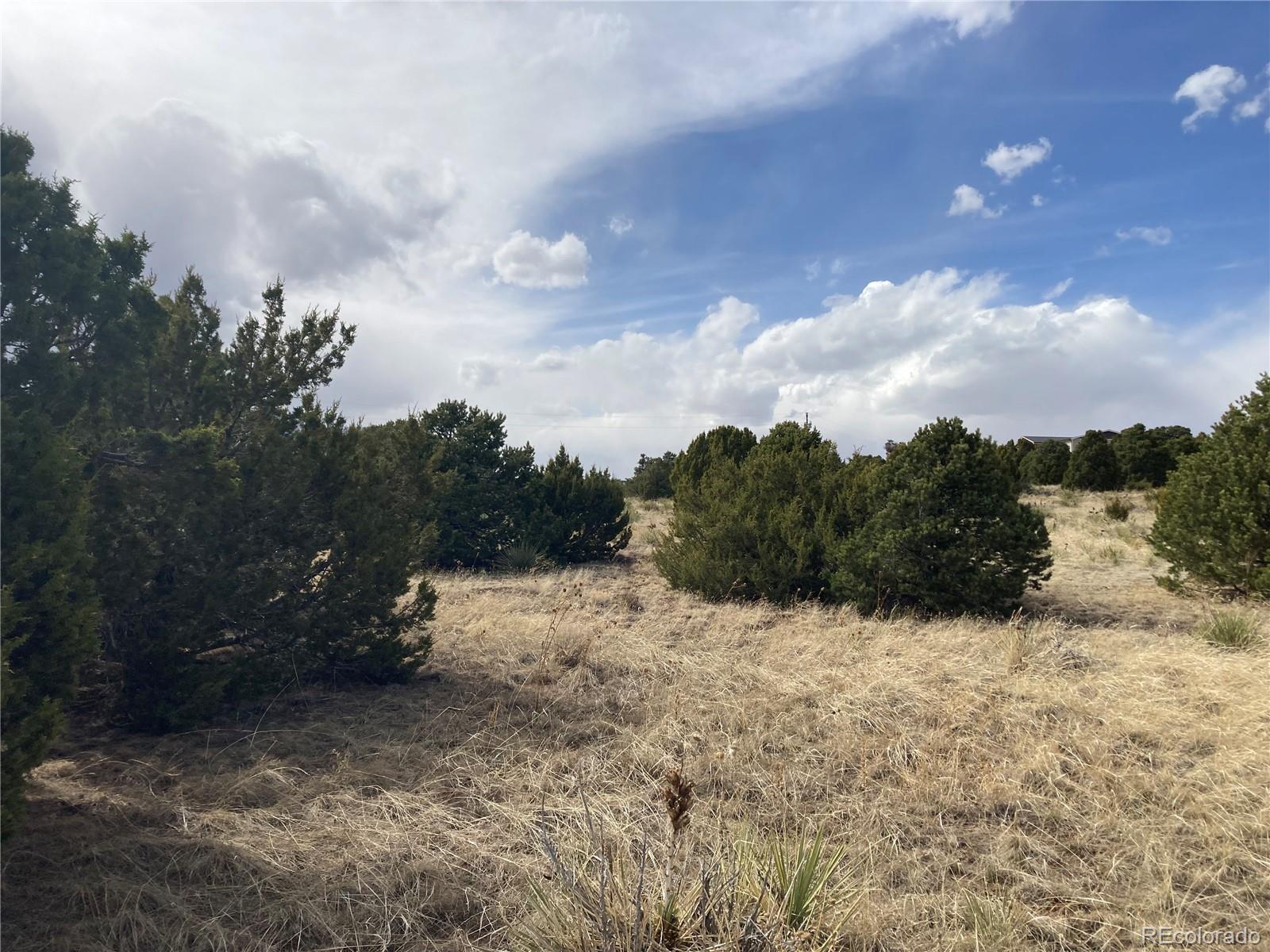 Navajo Ranch, Unit 3 Walsenburg, CO 81089 - Photo 6 of 7