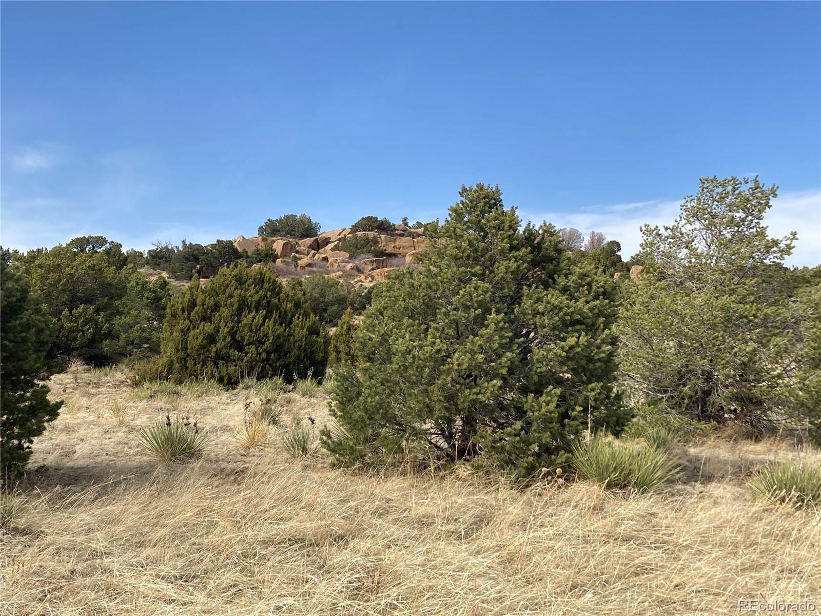 Navajo Ranch, Unit 3 Walsenburg, CO 81089 - Photo 7 of 7