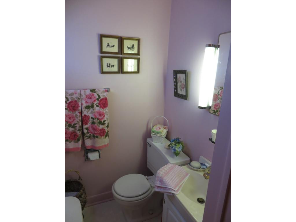 310 Lynfield Road Bristol, TN 37620 - Photo 16 of 21 master bath