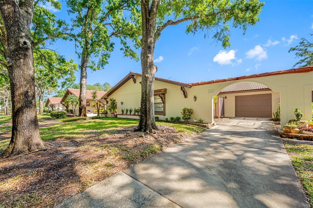 3505 Tarpon Woods Boulevard, Unit E42 Palm Harbor, FL 34685 - Photo 1 of 1 a view of a house with backyard and a tree