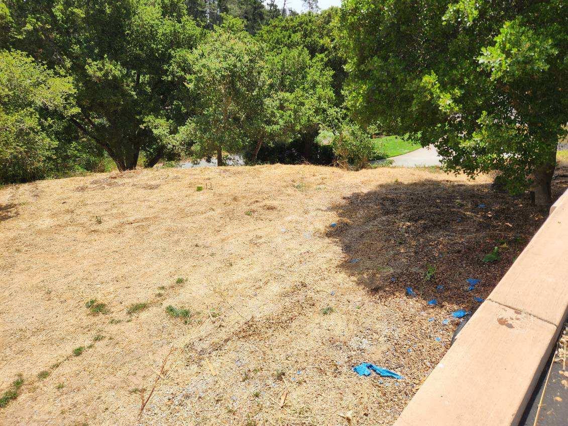 819 Lewis Road Watsonville, CA 95076 - Photo 16 of 32 a view of a yard covered with snow in front of house