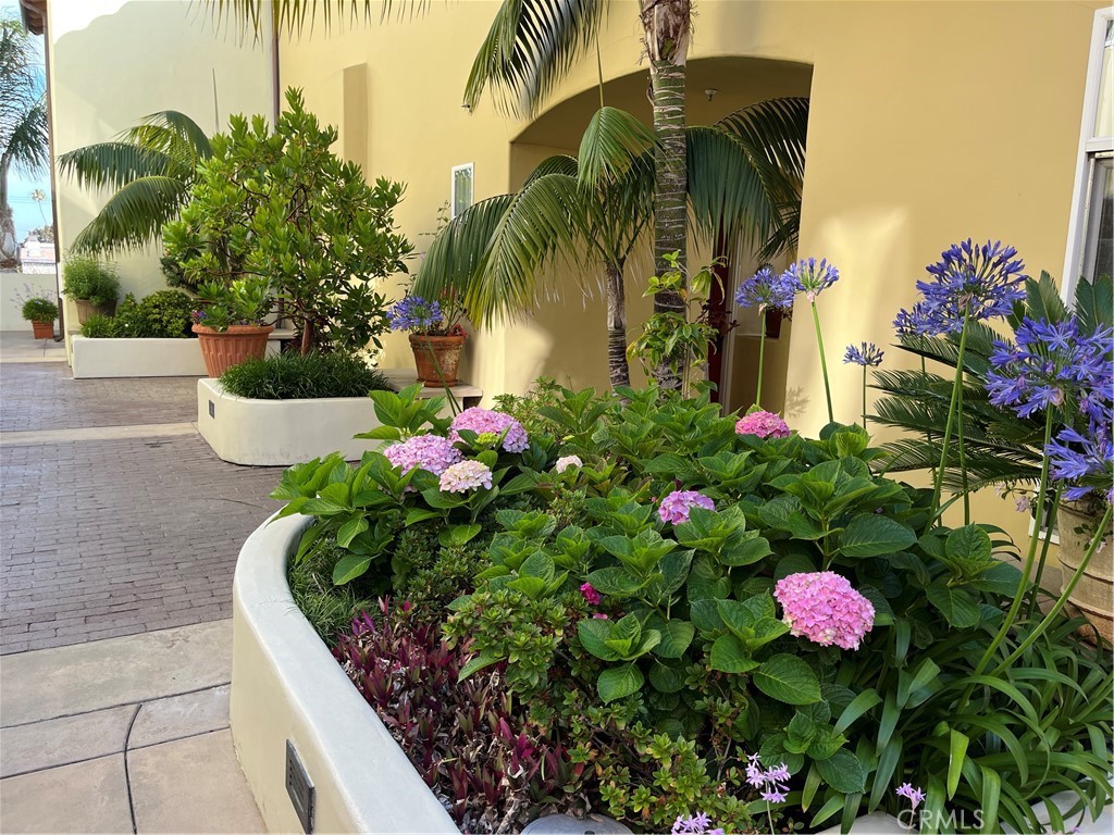 332 5th Street Huntington Beach, CA 92648 - Photo 9 of 11