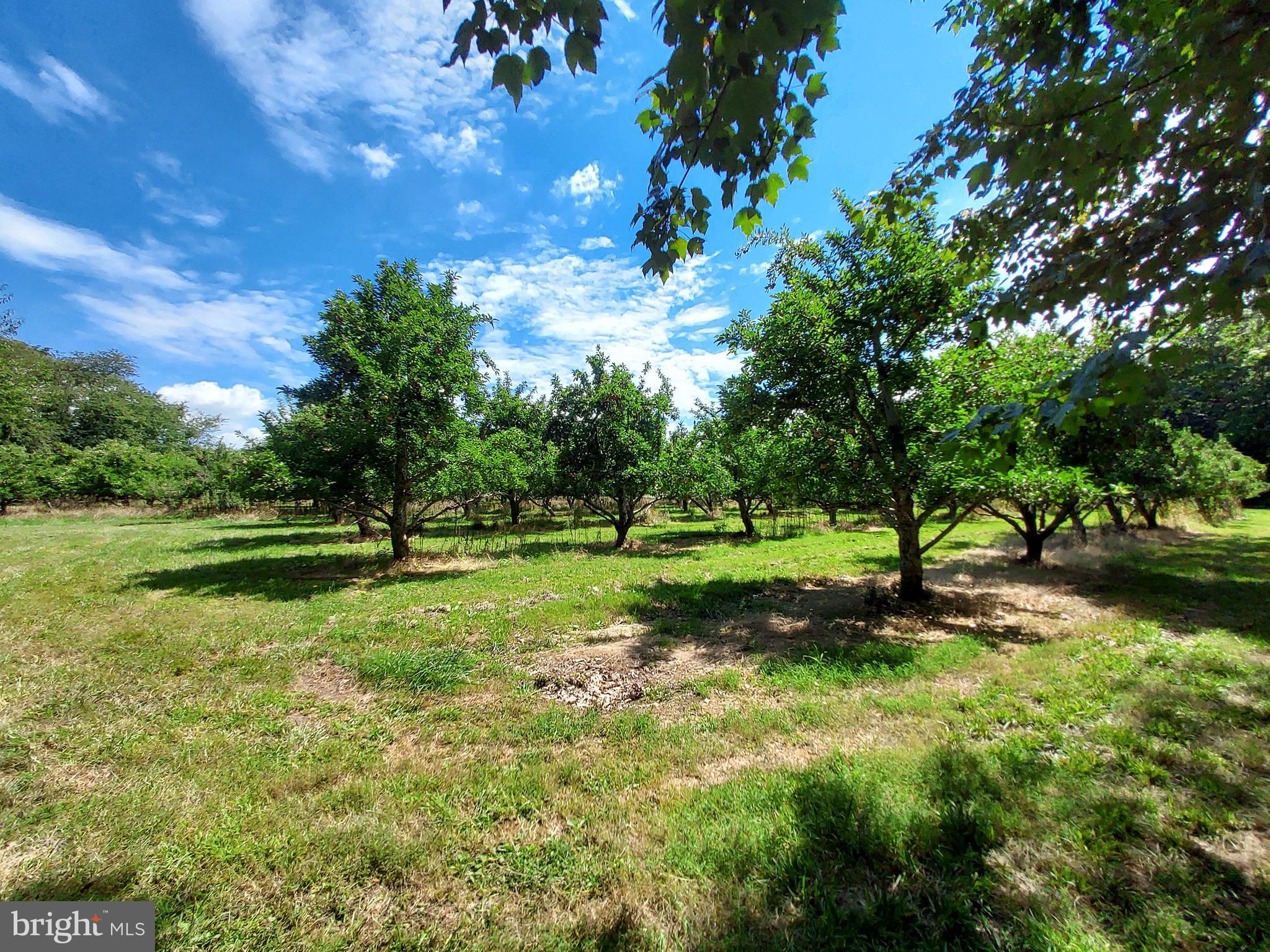 Lot #9 Cold Springs Road Orrtanna, PA 17353 - Photo 4 of 5 Gallery Image 4