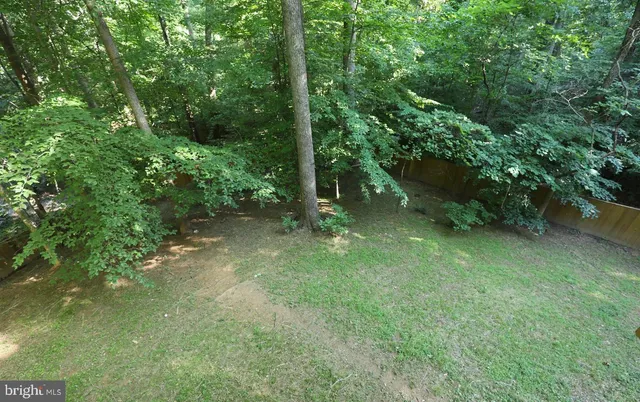a view of a trees in a yard