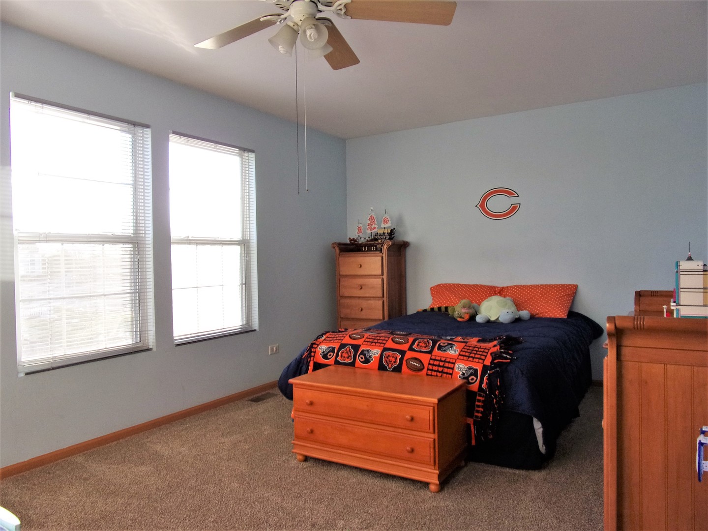 6213 Hawthorne Ridge Drive Plainfield, IL 60586 - Photo 15 of 27