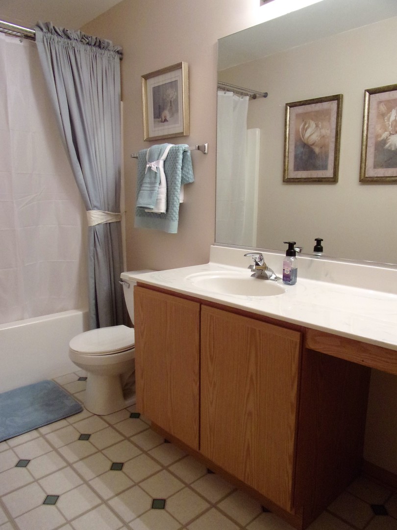 6213 Hawthorne Ridge Drive Plainfield, IL 60586 - Photo 19 of 27