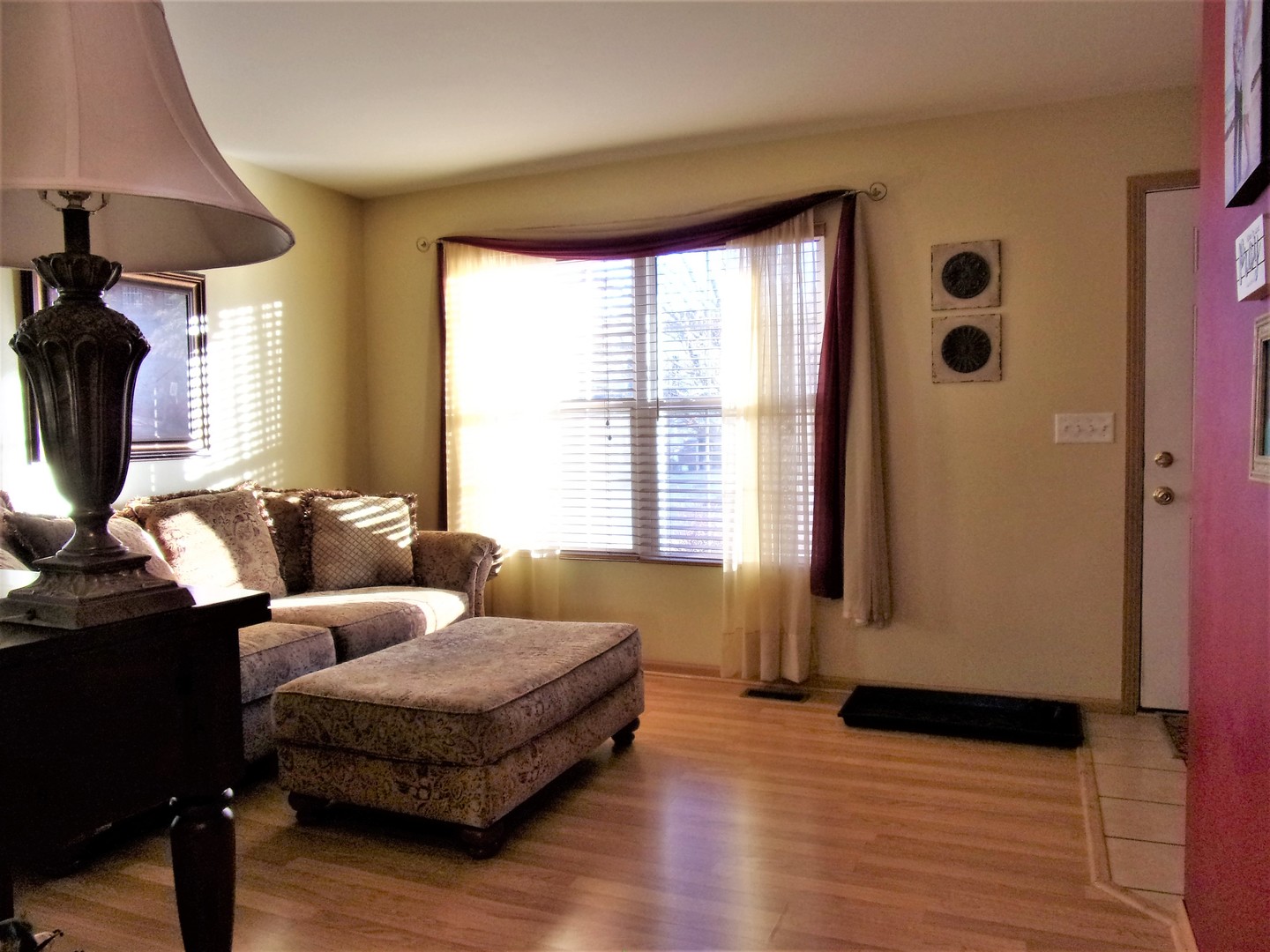 6213 Hawthorne Ridge Drive Plainfield, IL 60586 - Photo 3 of 27