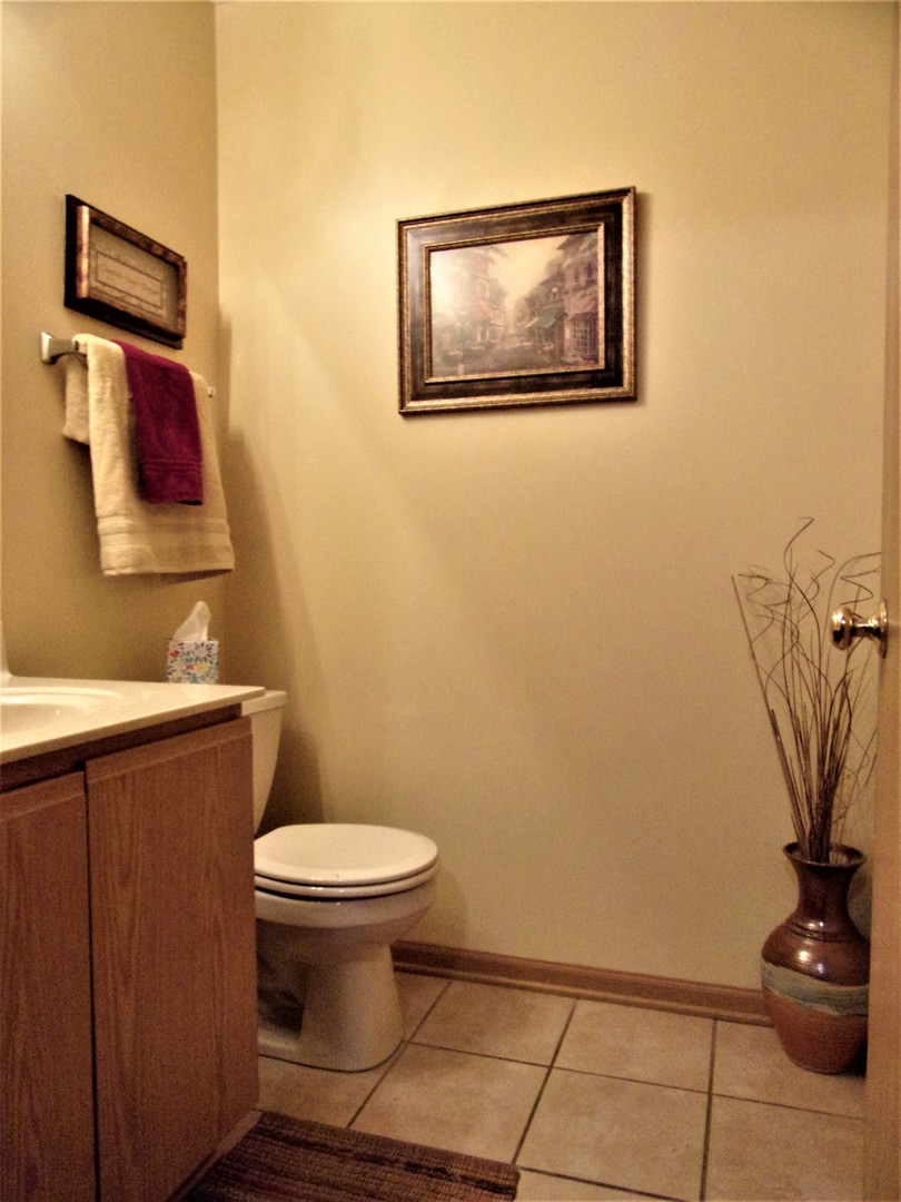 6213 Hawthorne Ridge Drive Plainfield, IL 60586 - Photo 10 of 27