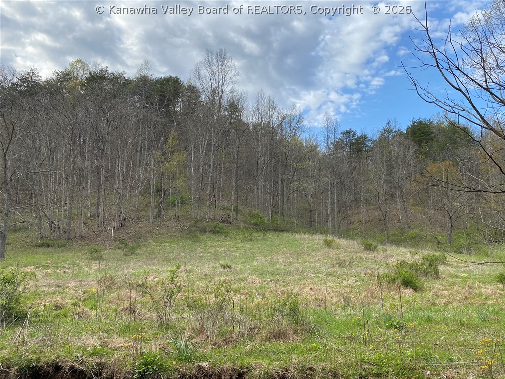 0 2nd Creek Road Kenna, WV 25248 - Photo 6 of 47 Gallery Image 6