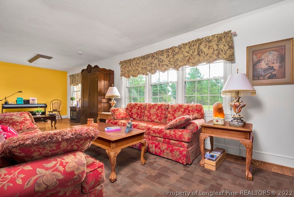 1690 Henry Berry Road Rowland, NC 28383 - Photo 8 of 28 Gallery Image 8