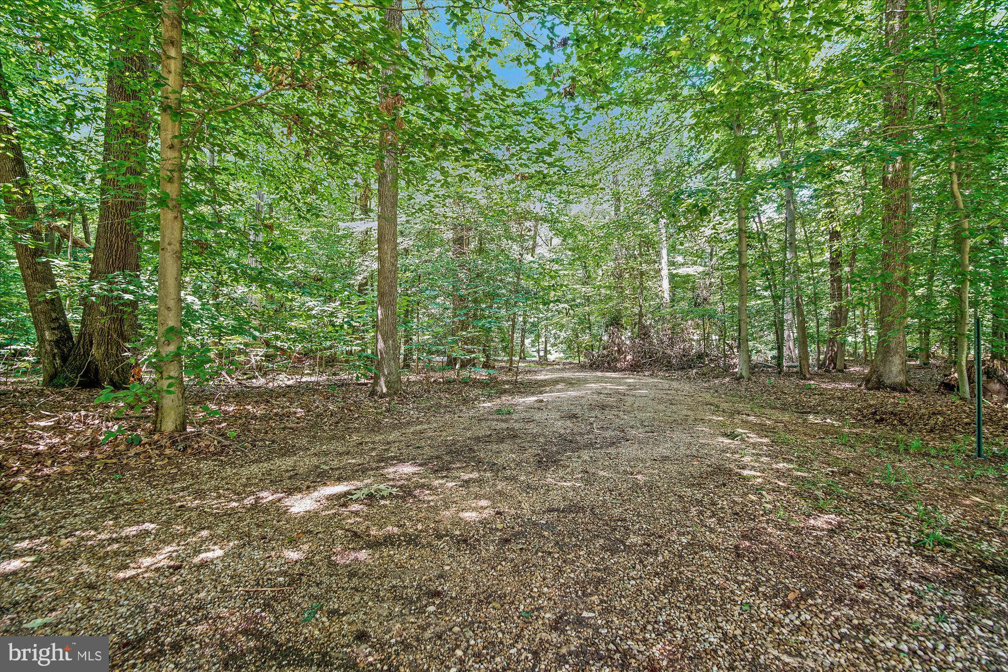 14702 West Auburn Road Accokeek, MD 20607 - Photo 16 of 76