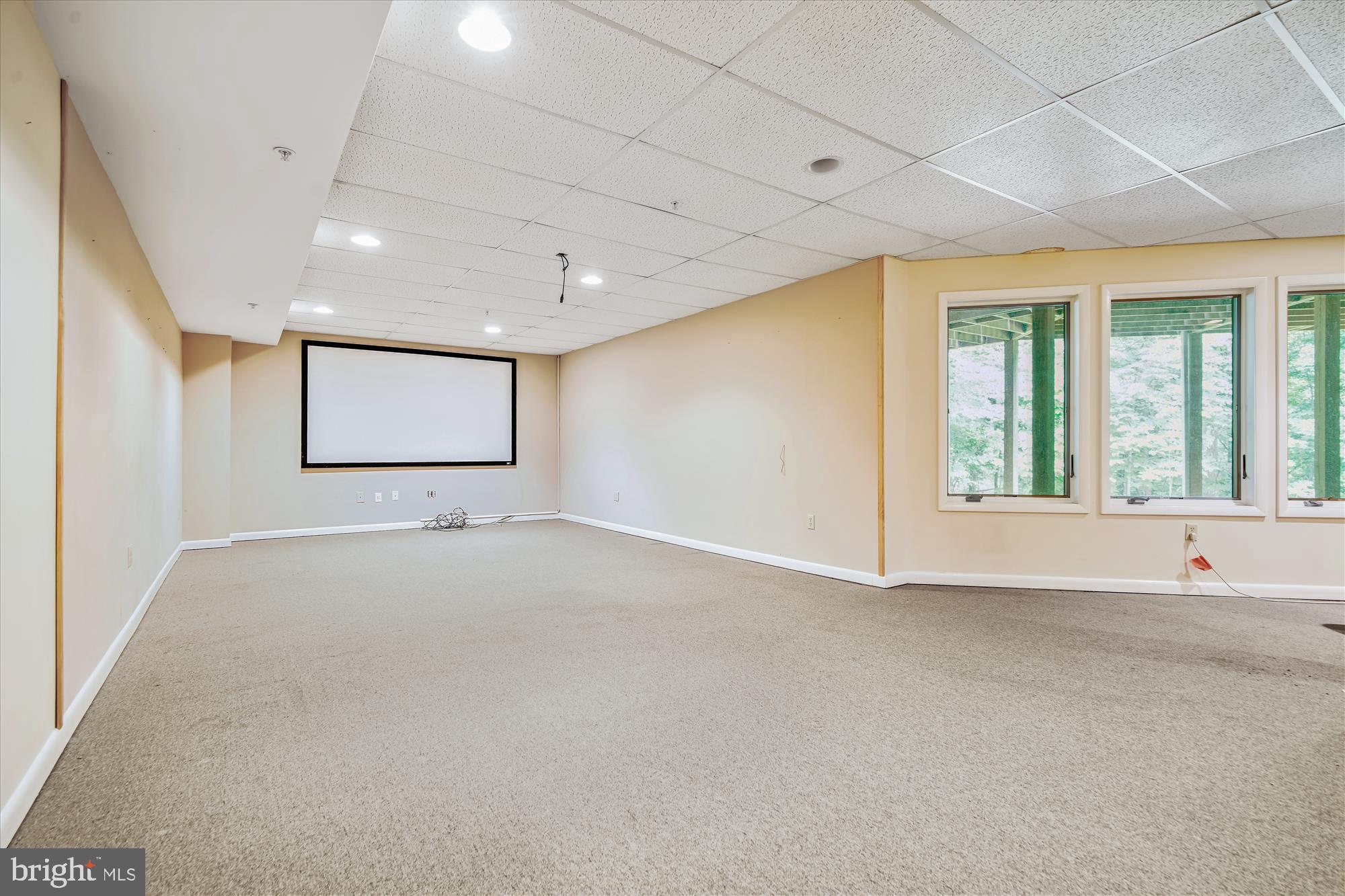 14702 West Auburn Road Accokeek, MD 20607 - Photo 36 of 76 Large lower level media room