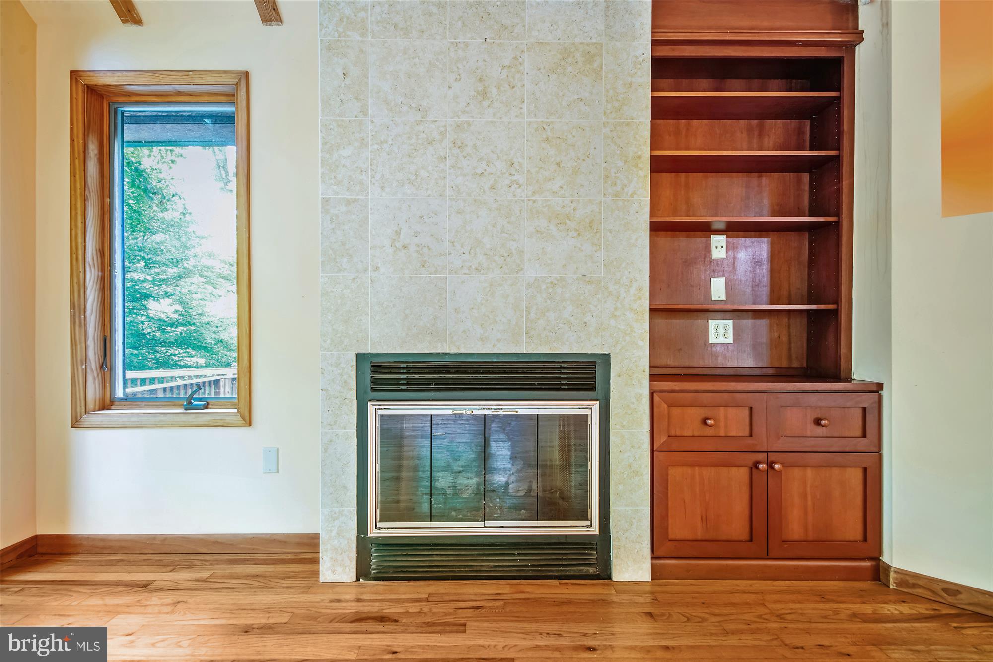 14702 West Auburn Road Accokeek, MD 20607 - Photo 46 of 76 2nd gas fireplace in family room