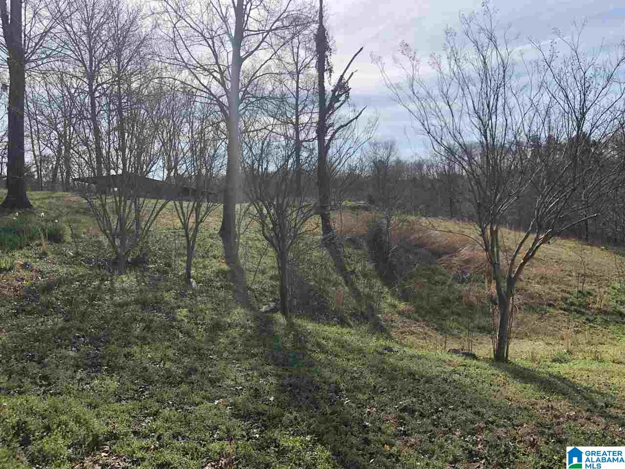 1122 Shortown Branch Road, Unit 10 ACRES Bessemer, AL 35023 - Photo 8 of 11