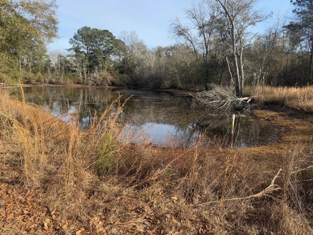 209 Pond View Lane Opp, AL 36467 - Photo 17 of 28