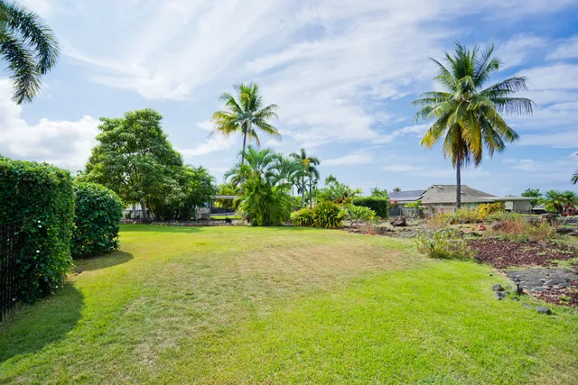 a big yard with palm trees