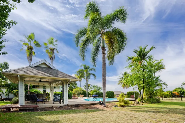 a view of a house with a swimming pool and a lawn chairs under palm trees