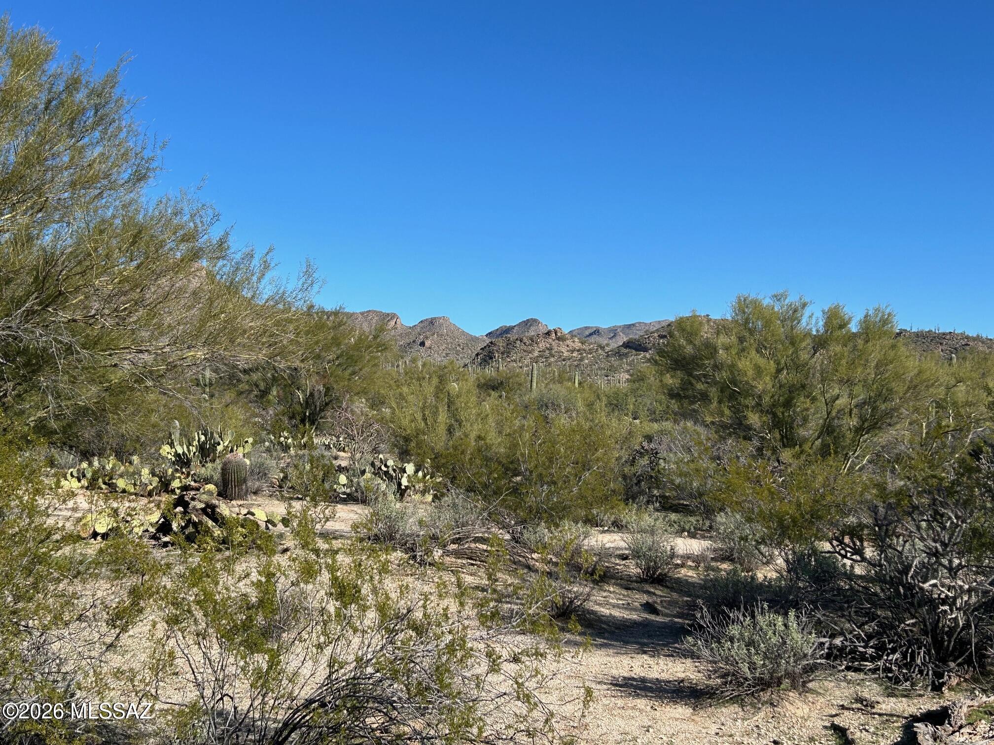 3980 West Moore Road, Unit 2 Marana, AZ 85658 - Photo 11 of 13