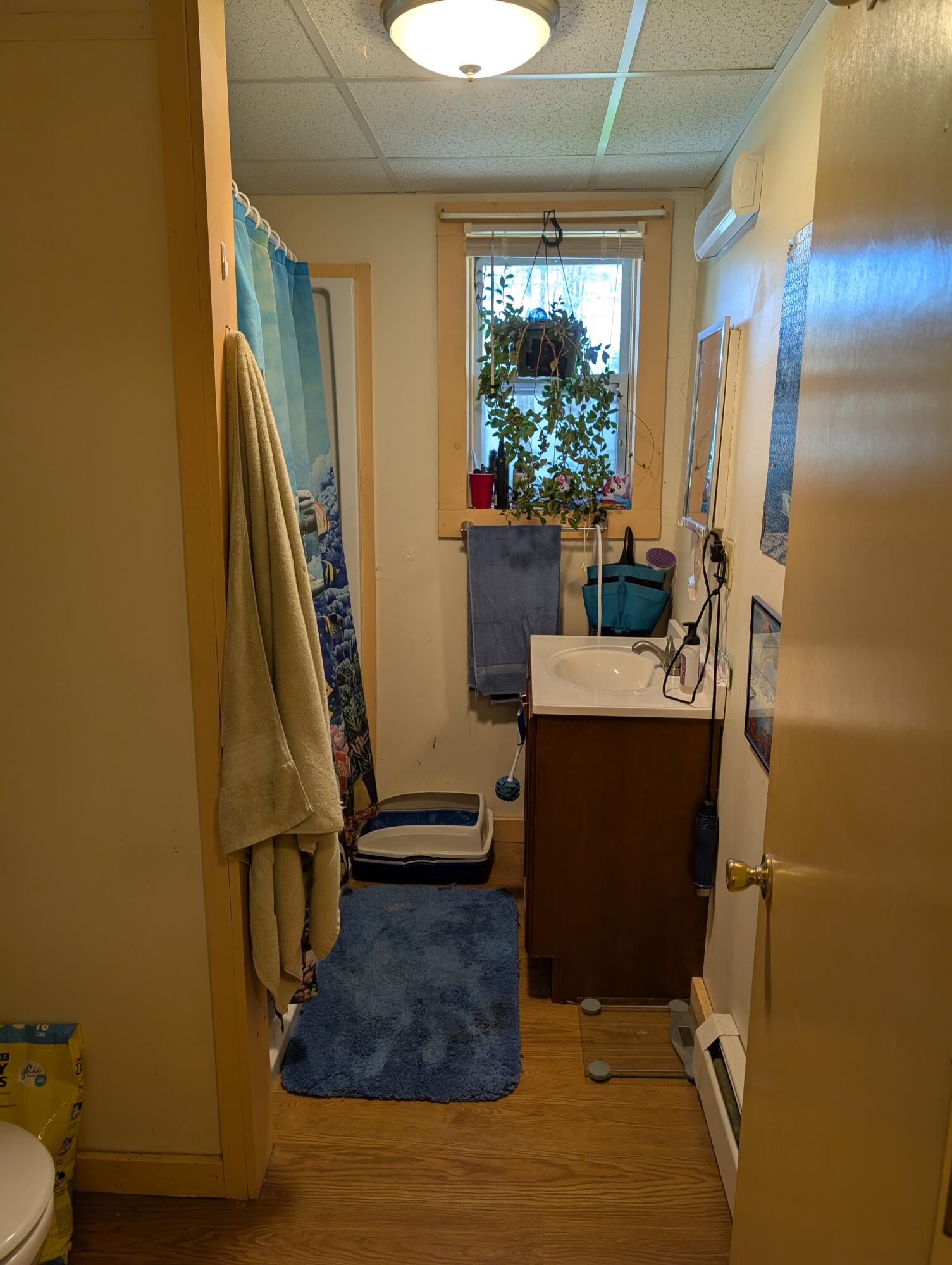 46 Boston Road Winterport, ME 04496 - Photo 40 of 49 Unit 3 Bathroom