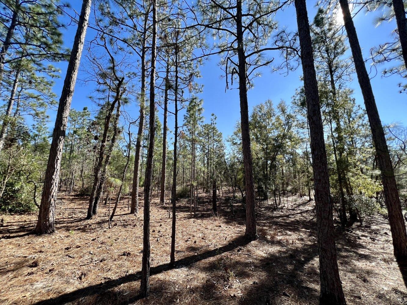 0 Dixon Road Bay Minette, AL 36507 - Photo 24 of 50