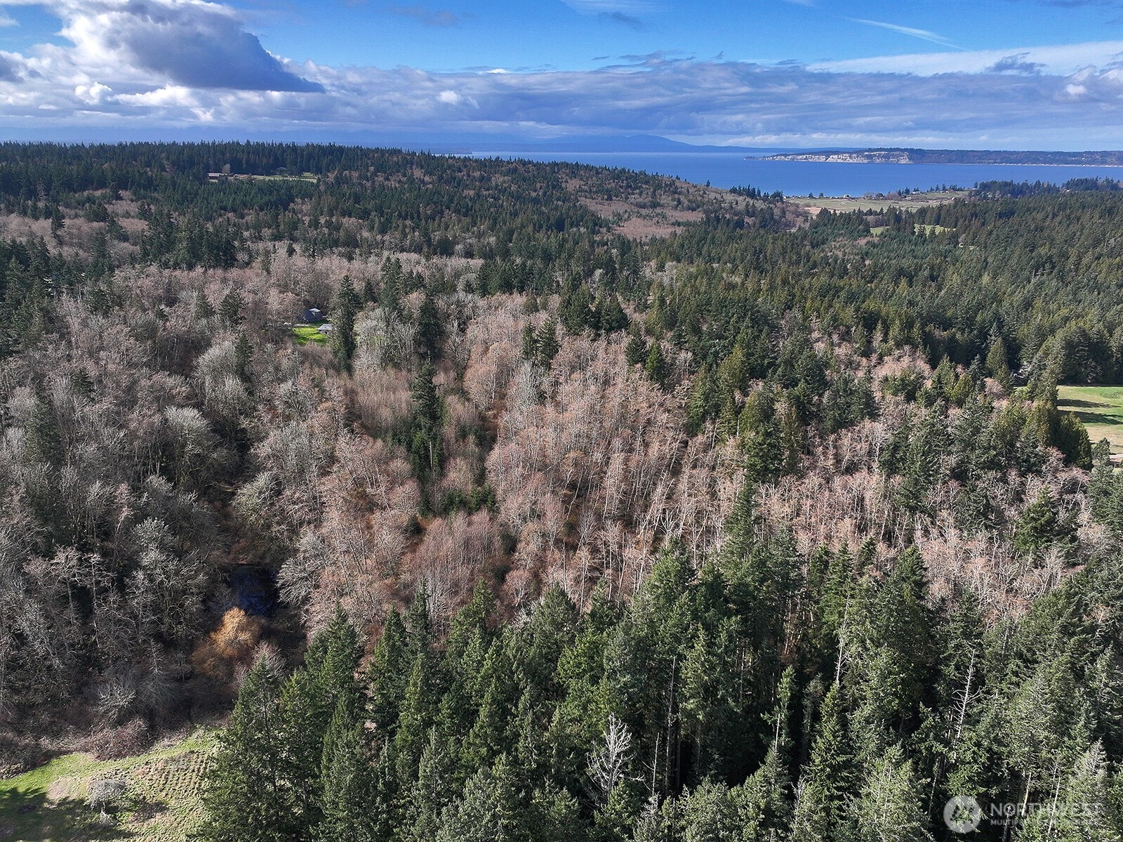 -xxx Xxx Scatchet Head Road Clinton, WA 98236 - Photo 28 of 34 a view of city and mountain