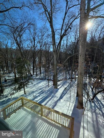 144 Pratts Branch Road Felton, DE 19943 - Photo 6 of 39 a view of a roof deck with wooden fence and large trees
