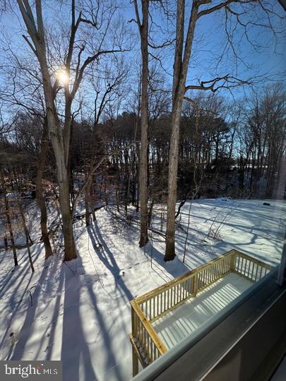 144 Pratts Branch Road Felton, DE 19943 - Photo 7 of 39 a view of a roof deck