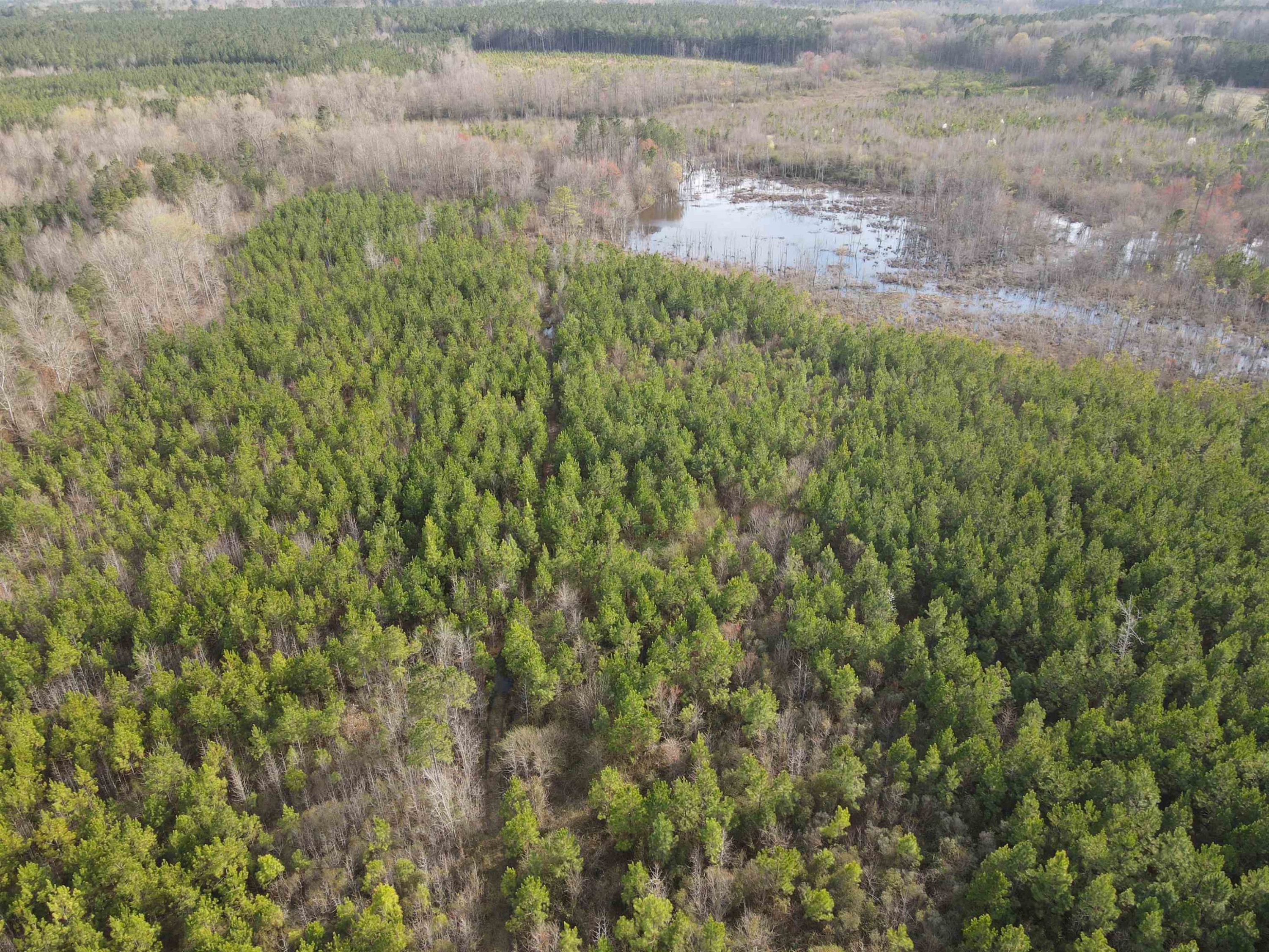 Qualls Rd, Hollister, NC 27844 MLS #2499296 Compass